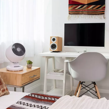 Load image into Gallery viewer, Rotatable Circulating Desktop Fan, Multi-Speed Adjustable Quiet Table Fan For Bedroom &amp; Office